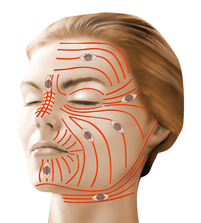 lesions-cutanees